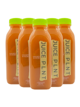 Load image into Gallery viewer, Immunity Booster